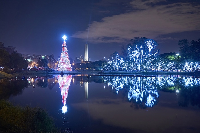 brazil christmas picture